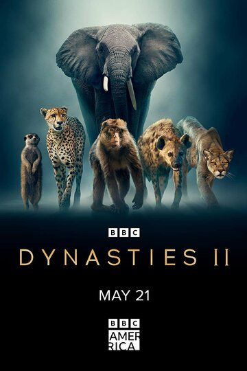 Dynasties II